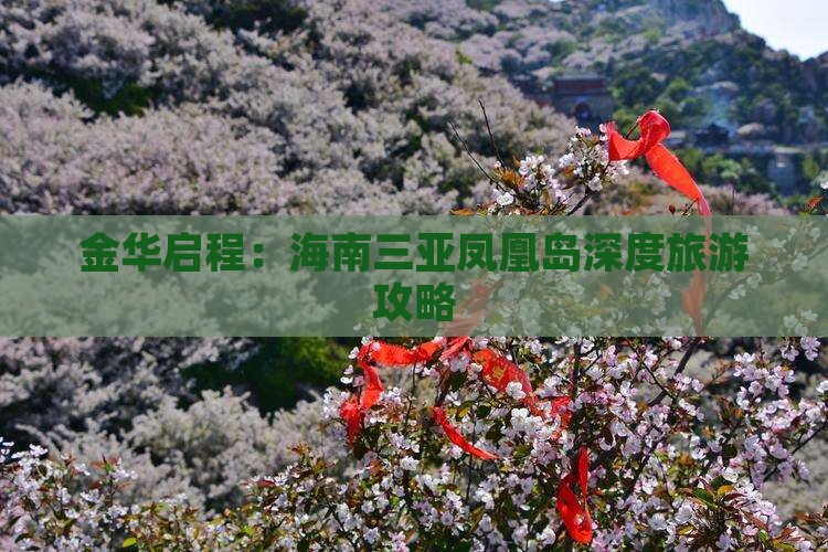 金华启程：海南三亚凤凰岛深度旅游攻略