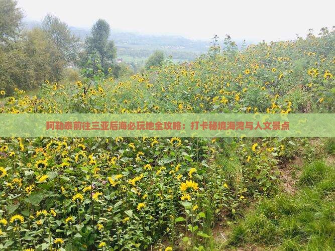 阿勒泰前往三亚后海必玩地全攻略：打卡秘境海湾与人文景点