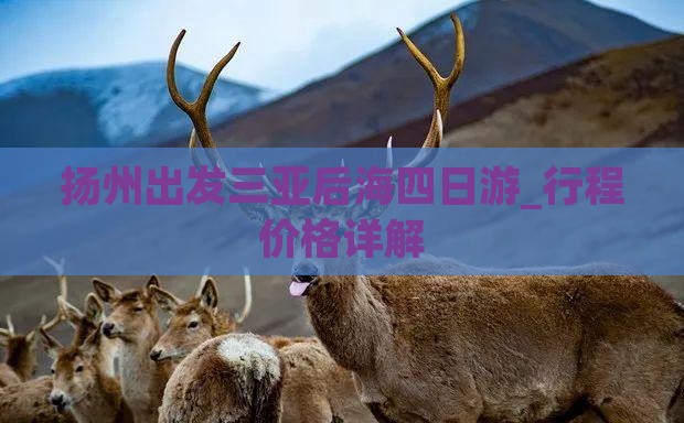 扬州出发三亚后海四日游_行程价格详解