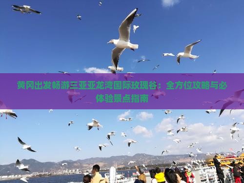 黄冈出发畅游三亚亚龙湾国际玫瑰谷：全方位攻略与必体验景点指南