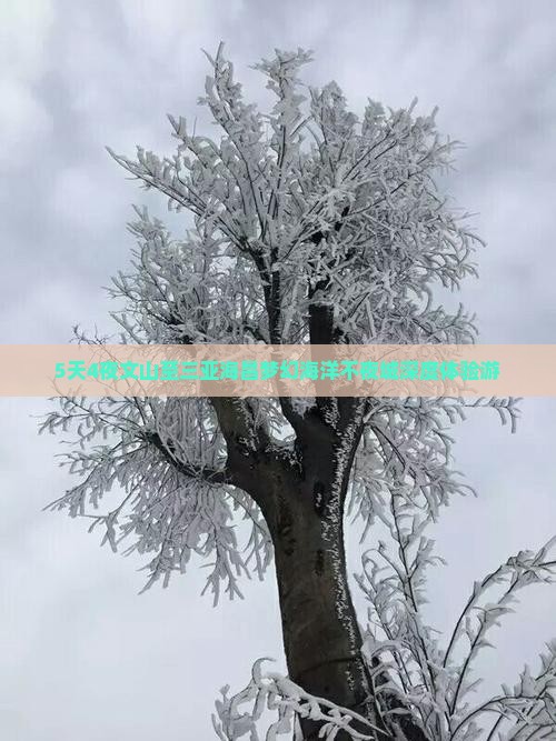 5天4夜文山至三亚海昌梦幻海洋不夜城深度体验游
