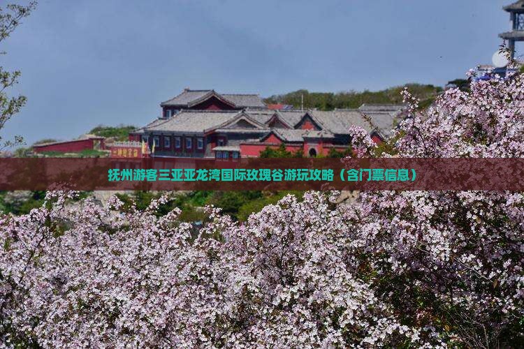 抚州游客三亚亚龙湾国际玫瑰谷游玩攻略（含门票信息）