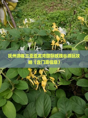 抚州游客三亚亚龙湾国际玫瑰谷游玩攻略（含门票信息）