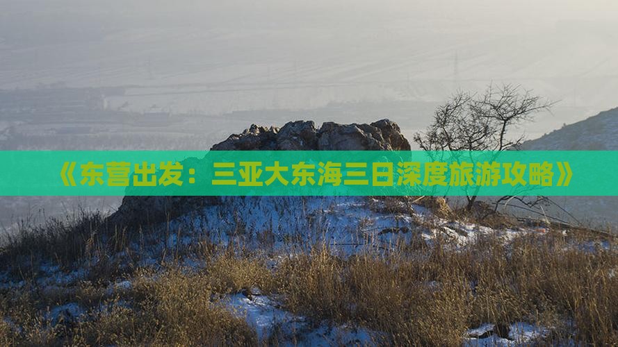 《东营出发：三亚大东海三日深度旅游攻略》