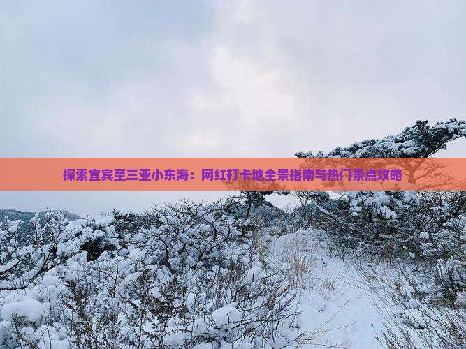 探索宜宾至三亚小东海：网红打卡地全景指南与热门景点攻略