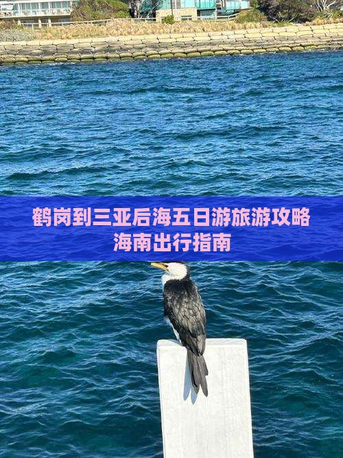 鹤岗到三亚后海五日游旅游攻略海南出行指南