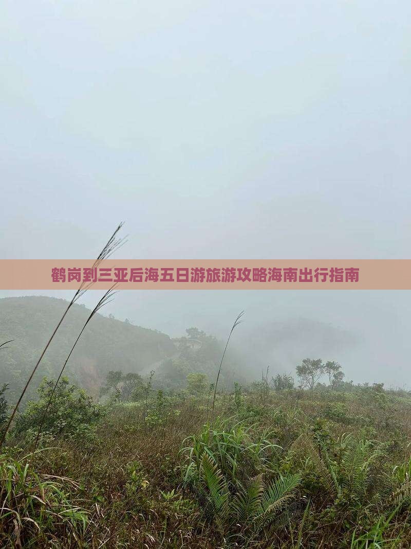 鹤岗到三亚后海五日游旅游攻略海南出行指南