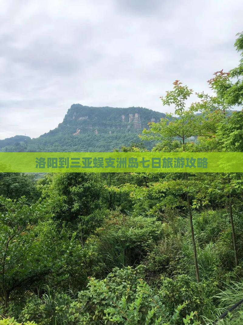 洛阳到三亚蜈支洲岛七日旅游攻略