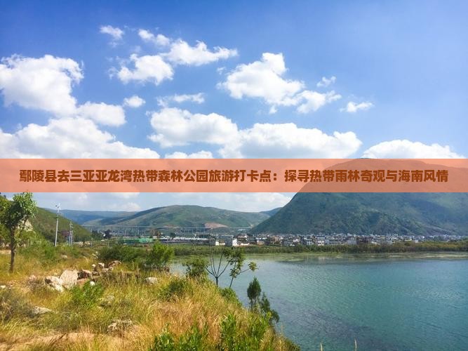 鄢陵县去三亚亚龙湾热带森林公园旅游打卡点：探寻热带雨林奇观与海南风情