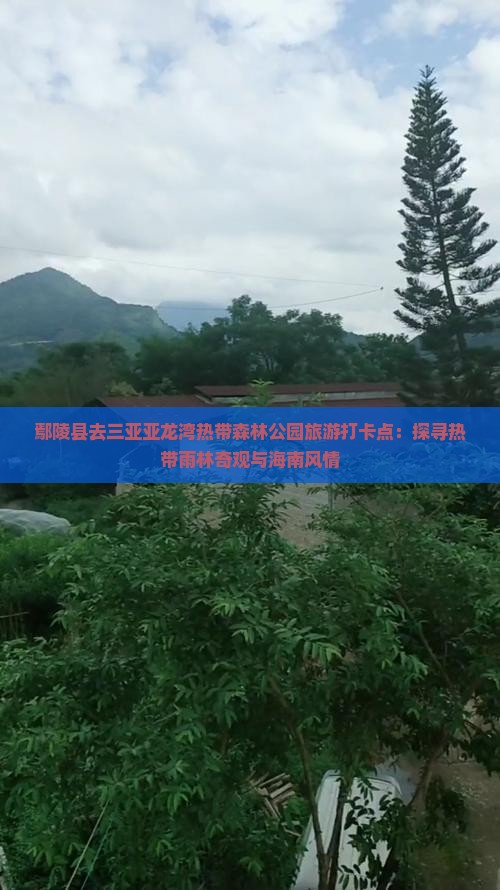 鄢陵县去三亚亚龙湾热带森林公园旅游打卡点：探寻热带雨林奇观与海南风情