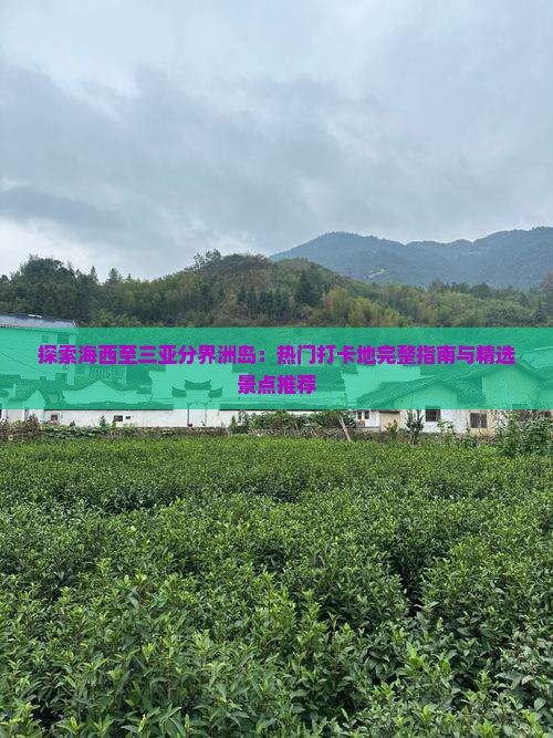 探索海西至三亚分界洲岛：热门打卡地完整指南与精选景点推荐