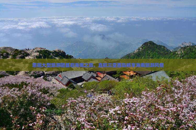 恩施大型旅游团盛启海南之旅，直航三亚西岛畅享海南旅游风情