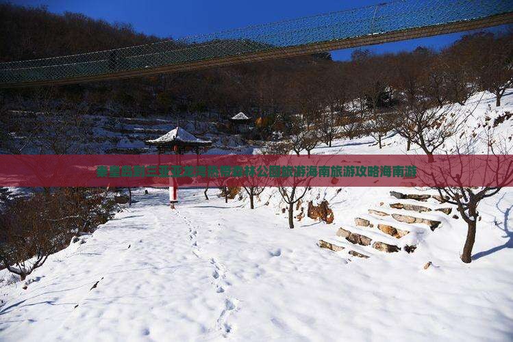 秦皇岛到三亚亚龙湾热带森林公园旅游海南旅游攻略海南游