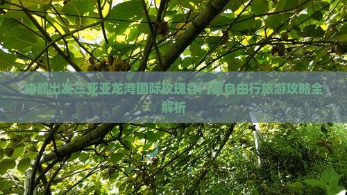 成都出发三亚亚龙湾国际玫瑰谷门票自由行旅游攻略全解析