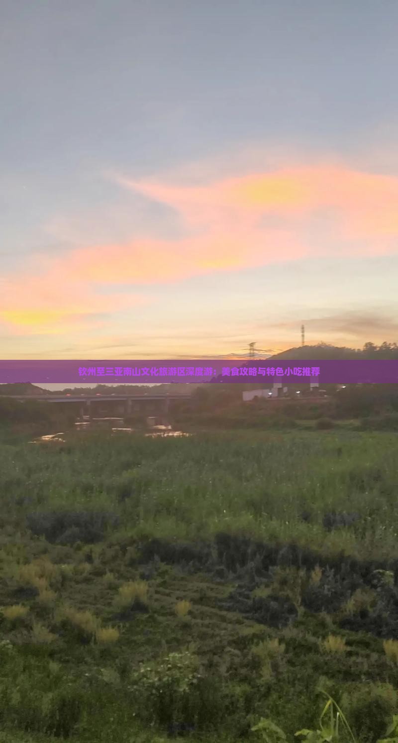 钦州至三亚南山文化旅游区深度游：美食攻略与特色小吃推荐
