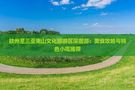 钦州至三亚南山文化旅游区深度游：美食攻略与特色小吃推荐