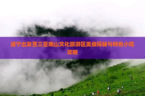 遂宁出发至三亚南山文化旅游区美食探秘与特色小吃攻略