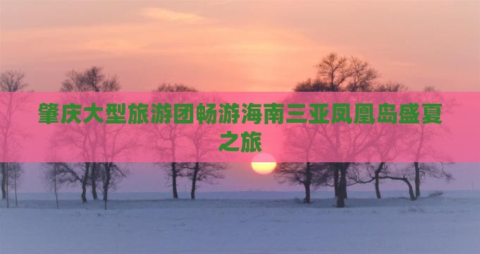 肇庆大型旅游团畅游海南三亚凤凰岛盛夏之旅