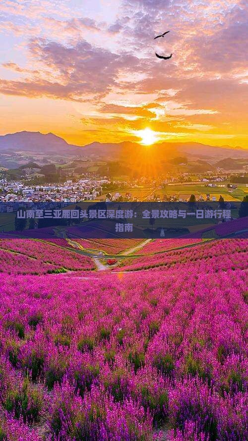 山南至三亚鹿回头景区深度游：全景攻略与一日游行程指南