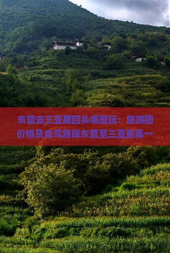东营去三亚鹿回头哪里玩：旅游团价格及自驾路犀东营至三亚距离一览
