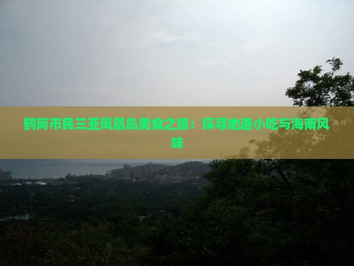 鹤岗市民三亚凤凰岛美食之旅：探寻地道小吃与海南风味