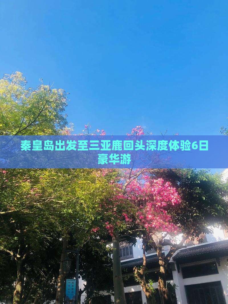 秦皇岛出发至三亚鹿回头深度体验6日豪华游