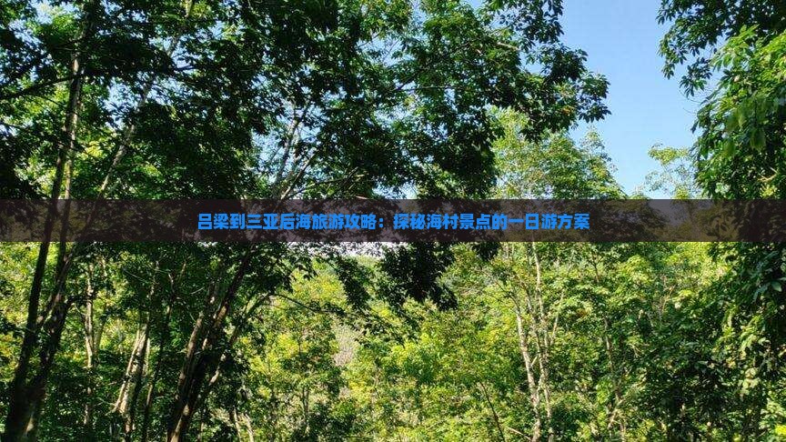 吕梁到三亚后海旅游攻略：探秘海村景点的一日游方案