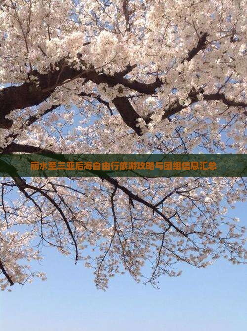 丽水至三亚后海自由行旅游攻略与团组信息汇总
