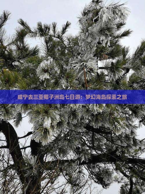 咸宁去三亚椰子洲岛七日游：梦幻海岛探索之旅