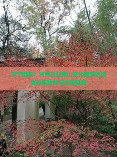 济宁出发：海南三亚南山文化旅游区美食小吃攻略与文化探秘