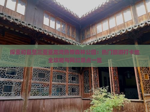 探索和县至三亚亚龙湾热带森林公园：热门旅游打卡地全攻略与网红景点一览