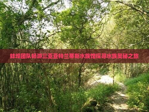 蚌埠团队畅游三亚亚特兰蒂斯水族馆探寻水族奥秘之旅
