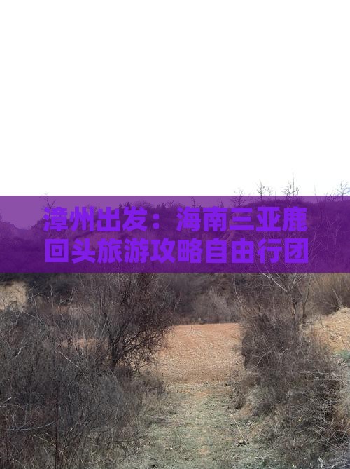 漳州出发：海南三亚鹿回头旅游攻略自由行团