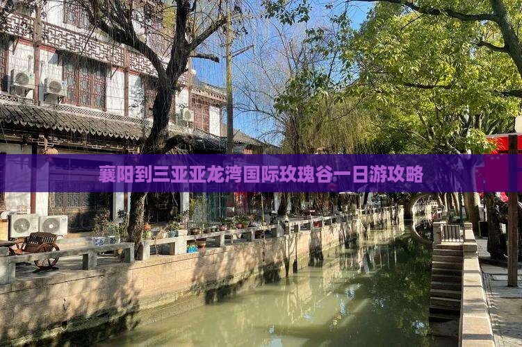 襄阳到三亚亚龙湾国际玫瑰谷一日游攻略