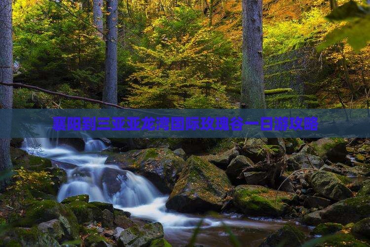 襄阳到三亚亚龙湾国际玫瑰谷一日游攻略