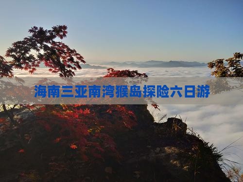海南三亚南湾猴岛探险六日游