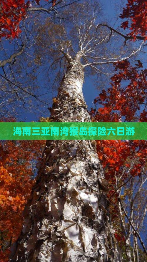 海南三亚南湾猴岛探险六日游