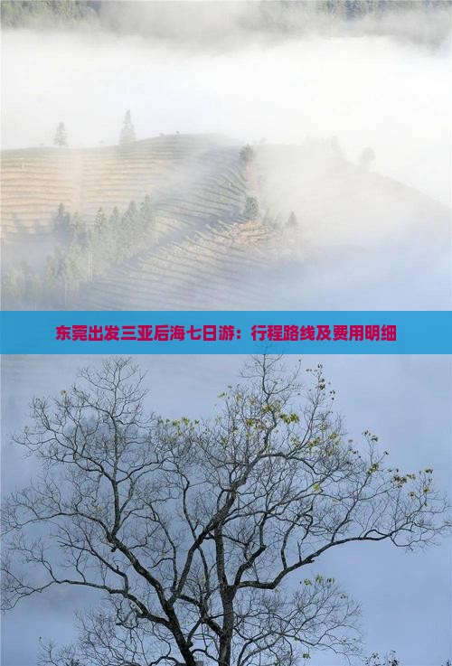 东莞出发三亚后海七日游：行程路线及费用明细