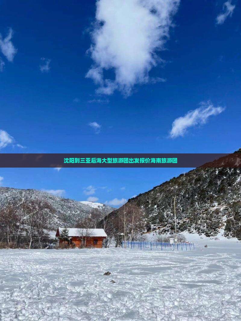 沈阳到三亚后海大型旅游团出发报价海南旅游团