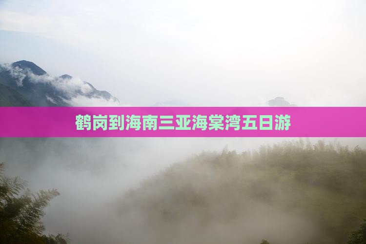 鹤岗到海南三亚海棠湾五日游