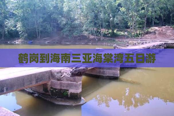 鹤岗到海南三亚海棠湾五日游