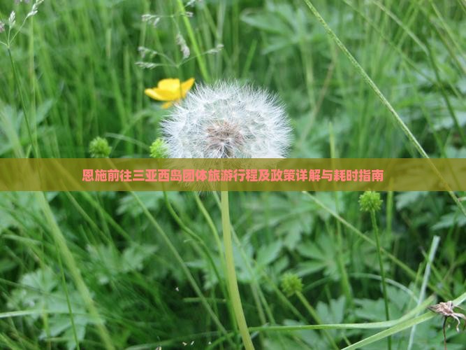 恩施前往三亚西岛团体旅游行程及政策详解与耗时指南