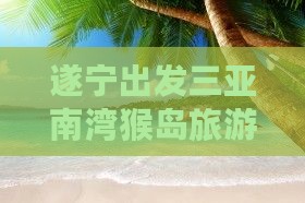 遂宁出发三亚南湾猴岛旅游网红地点