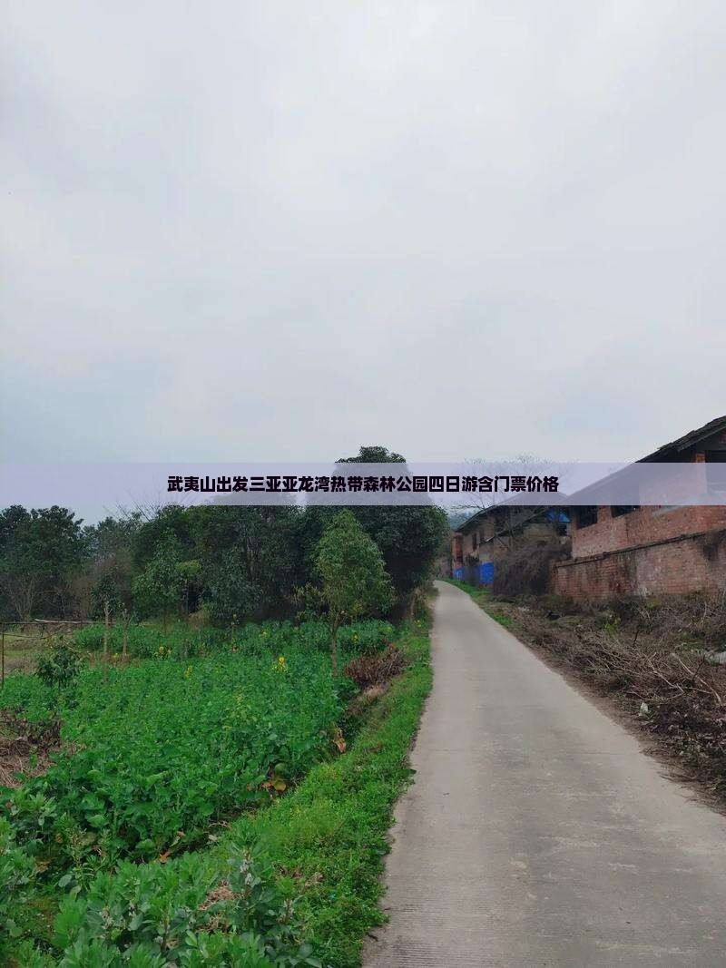 武夷山出发三亚亚龙湾热带森林公园四日游含门票价格