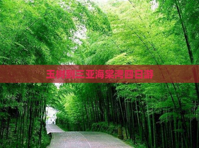 玉树到三亚海棠湾四日游