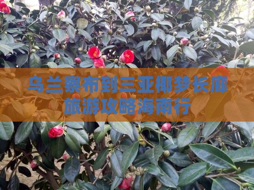 乌兰察布到三亚椰梦长廊旅游攻略海南行