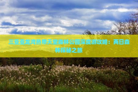 三亚亚龙湾热带天堂森林公园深度游攻略：两日森林探秘之旅