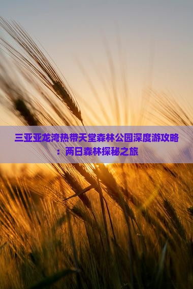 三亚亚龙湾热带天堂森林公园深度游攻略：两日森林探秘之旅