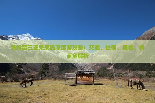 铁岭至三亚呆呆岛深度游攻略：交通、住宿、美食、景点全解析