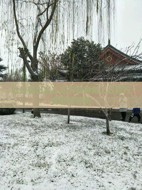 吐鲁番出发三亚天涯海角二日游行程里程解析